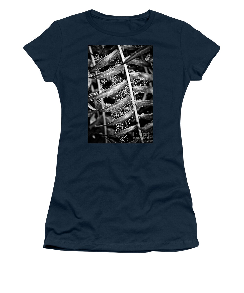 Black And White Women's T-Shirt featuring the photograph Rain droplets in a spider web and fern plant by Bruce Block