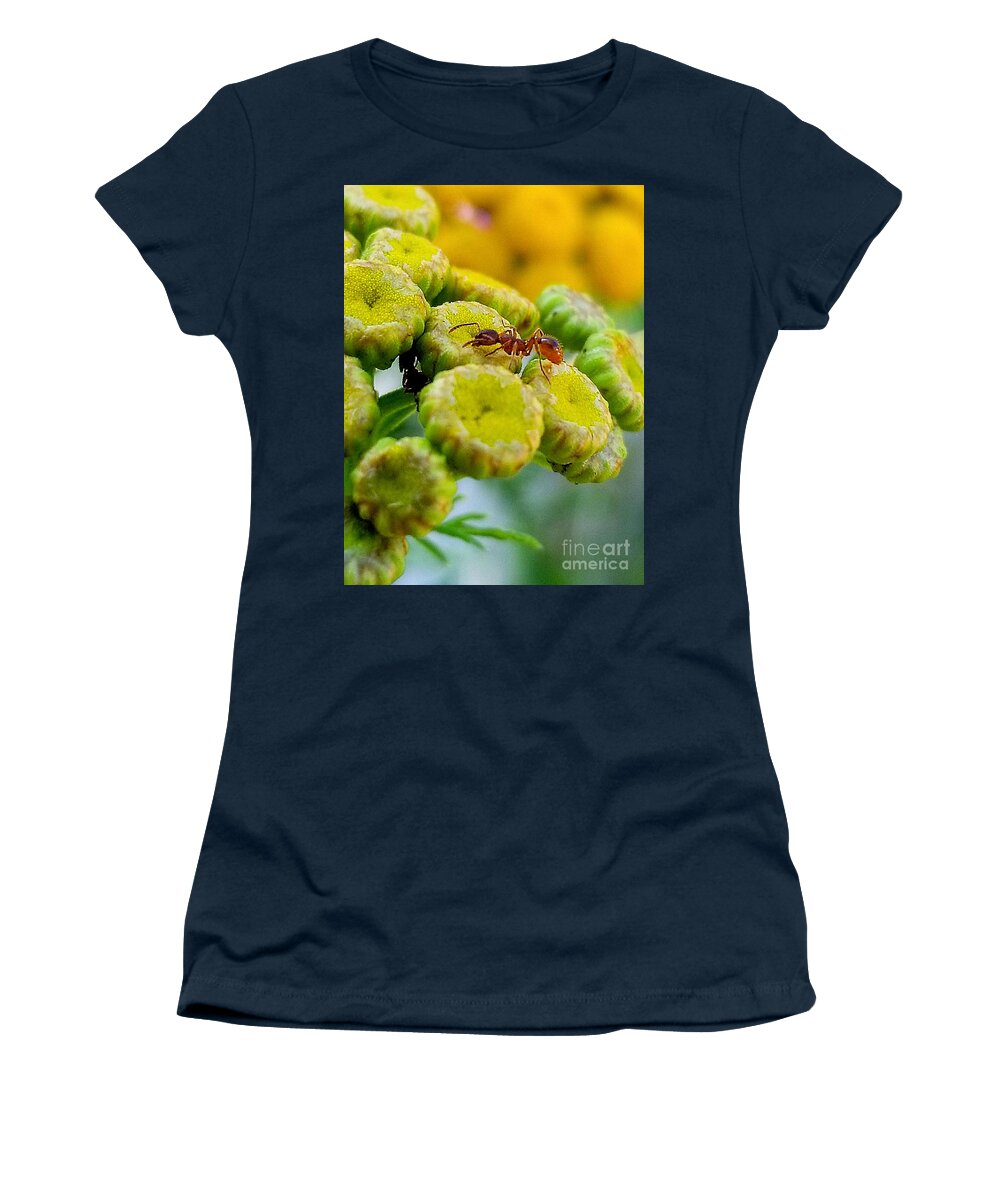 Sea Women's T-Shirt featuring the photograph Red Ant by Michael Graham
