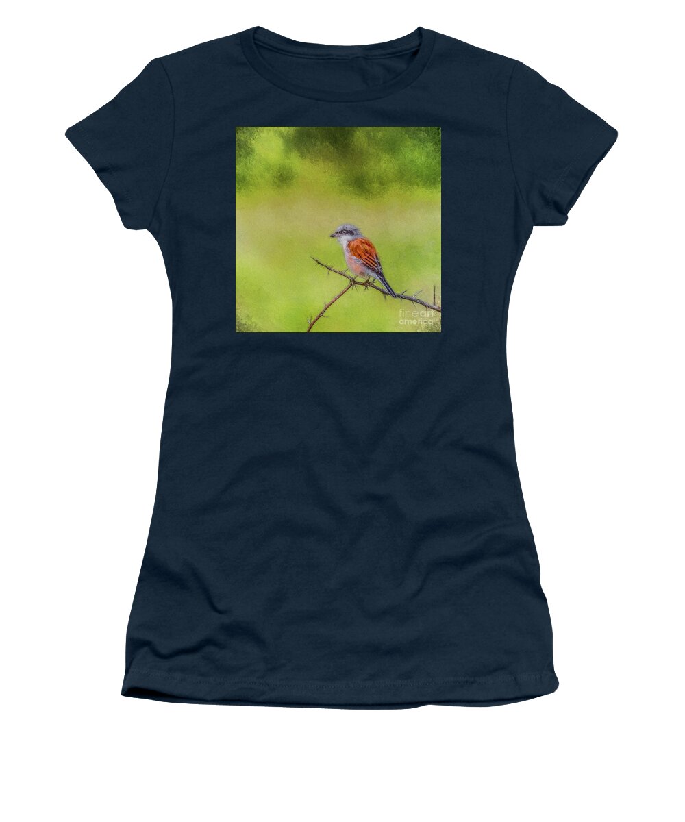 Red-backed Shrike Women's T-Shirt featuring the digital art Red-backed Shrike by Liz Leyden