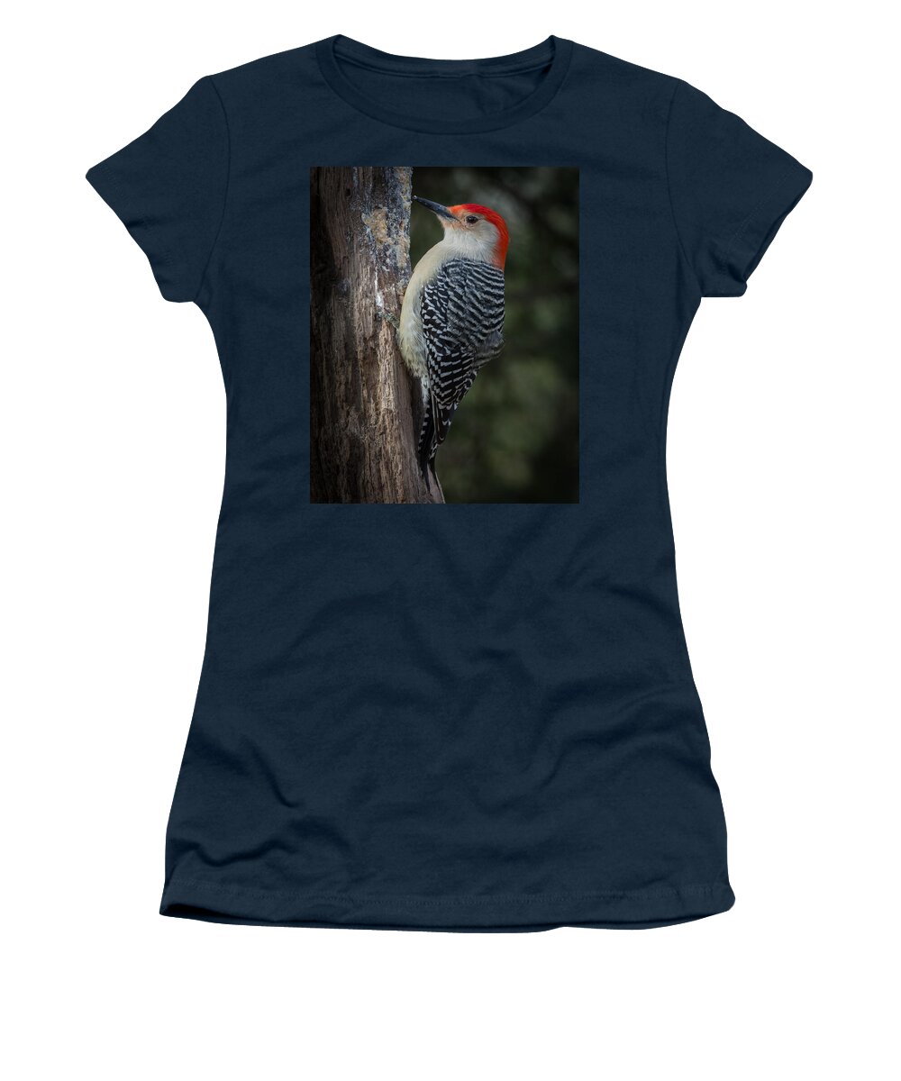 Color Photograph Red-bellied Woodpecker Bird Women's T-Shirt featuring the photograph Red-bellied Woodpecker by Kenneth Cole