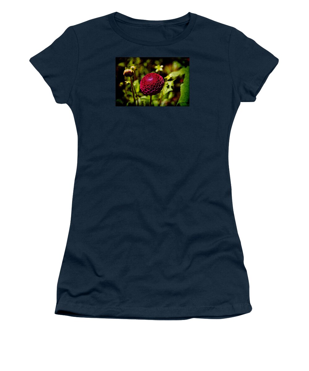 Dahlia Women's T-Shirt featuring the photograph Red Dahlia by Milena Ilieva