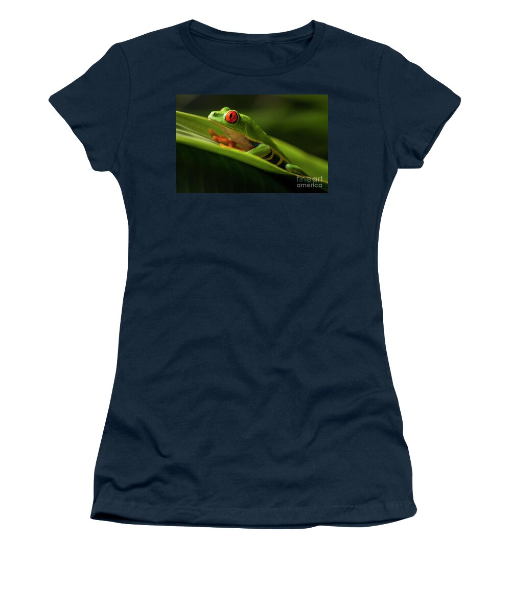 Frog Women's T-Shirt featuring the photograph Red- Eyed Tree Frog Costa Rica 7 by Bob Christopher
