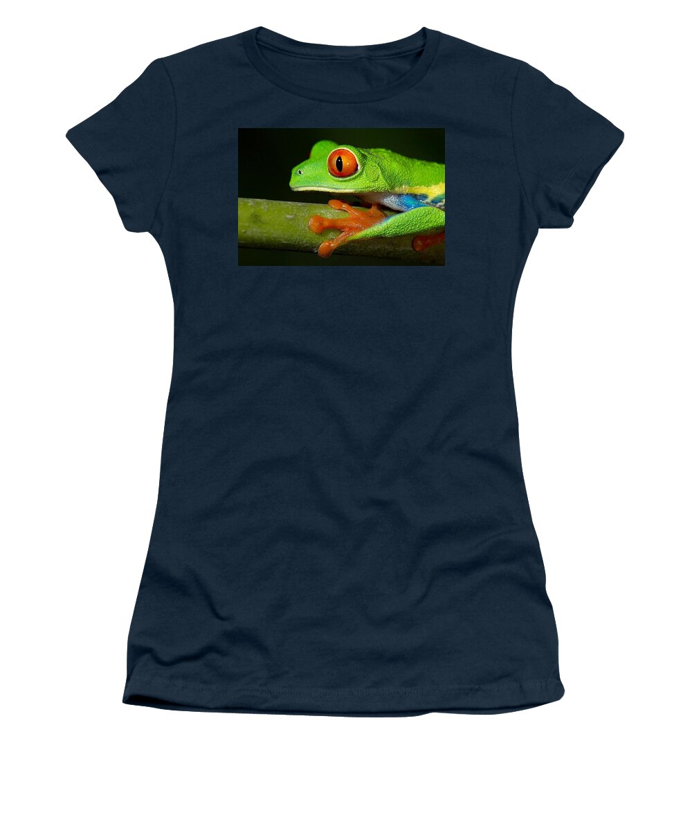 Red Eyed Tree Frog Women's T-Shirt featuring the digital art Red Eyed Tree Frog by Maye Loeser