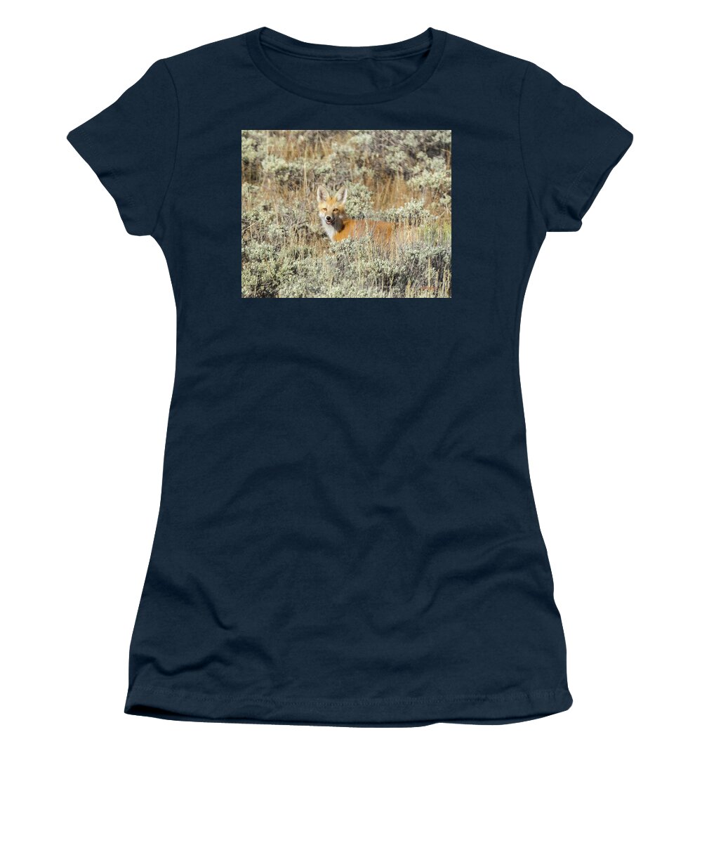 Red Fox Women's T-Shirt featuring the photograph Red Fox in Sage Brush by Stephen Johnson