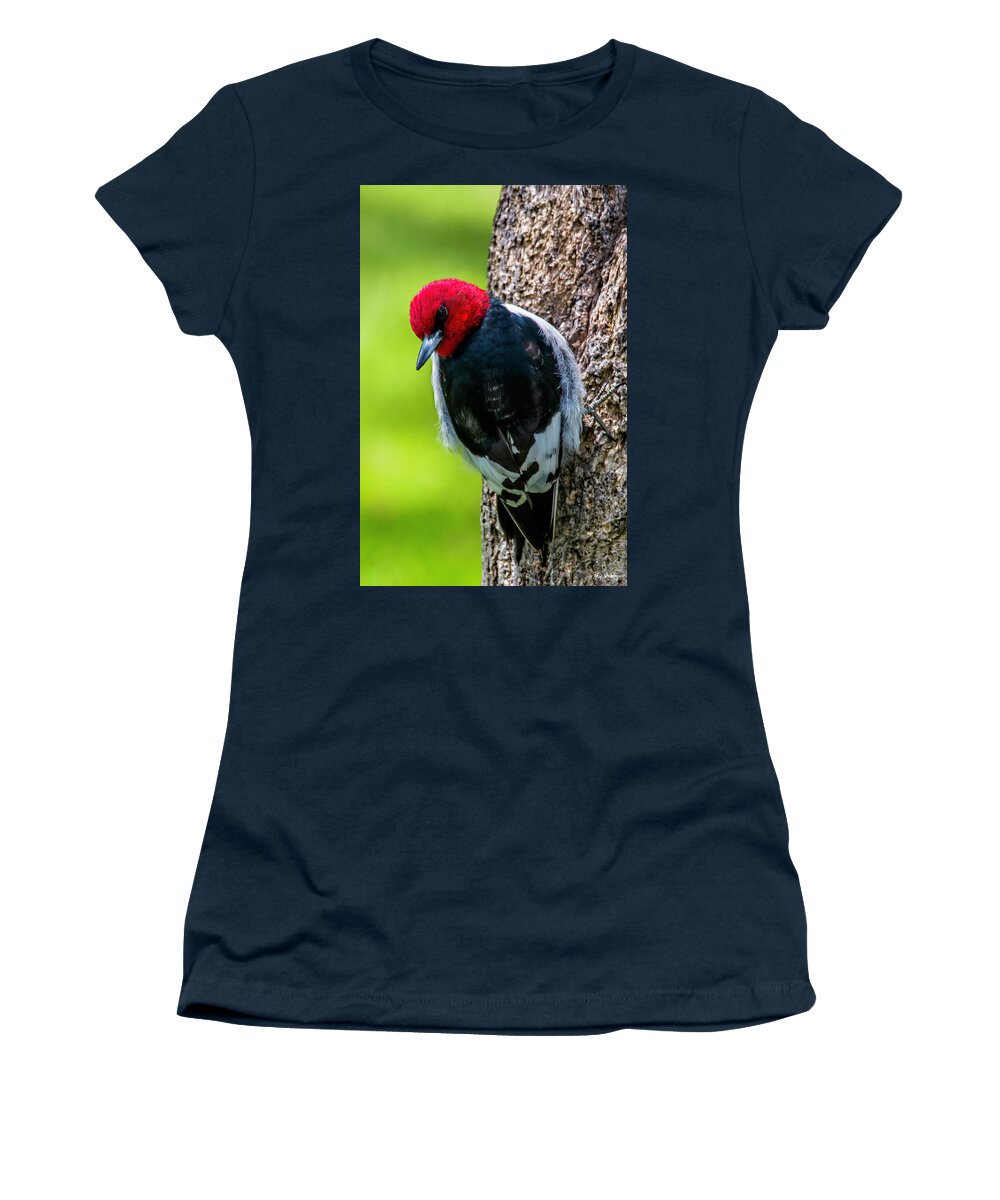 Bird Women's T-Shirt featuring the photograph Red-headed Woodpecker by Skip Tribby