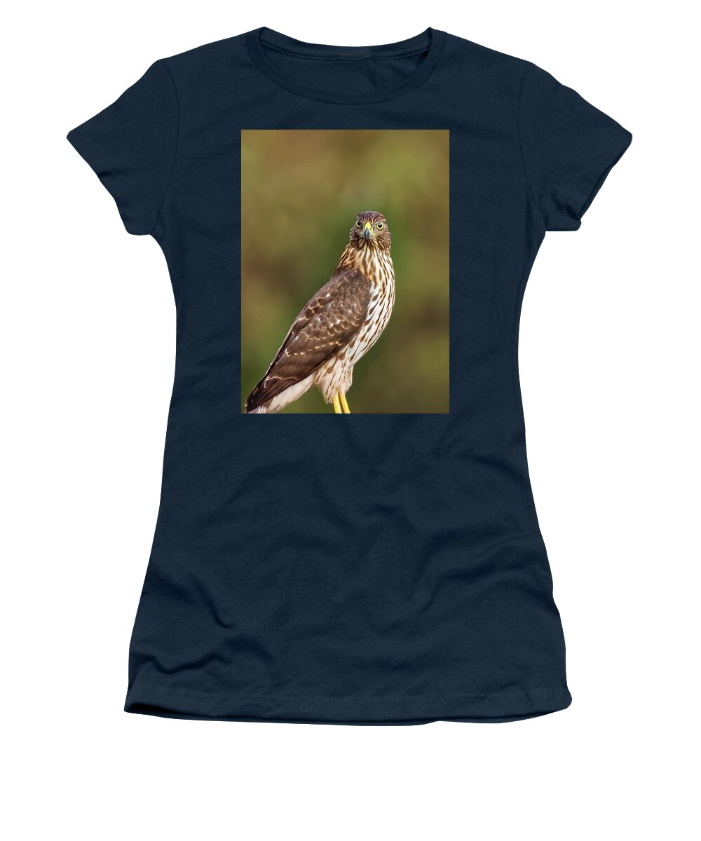 Amelia Island Women's T-Shirt featuring the photograph Red-Tailed Hawk by Peter Lakomy