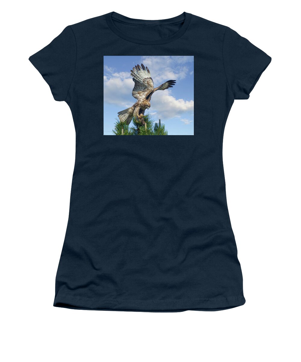 Hawk Women's T-Shirt featuring the photograph Red Tailed hawk Wings 2 by Rick Mosher