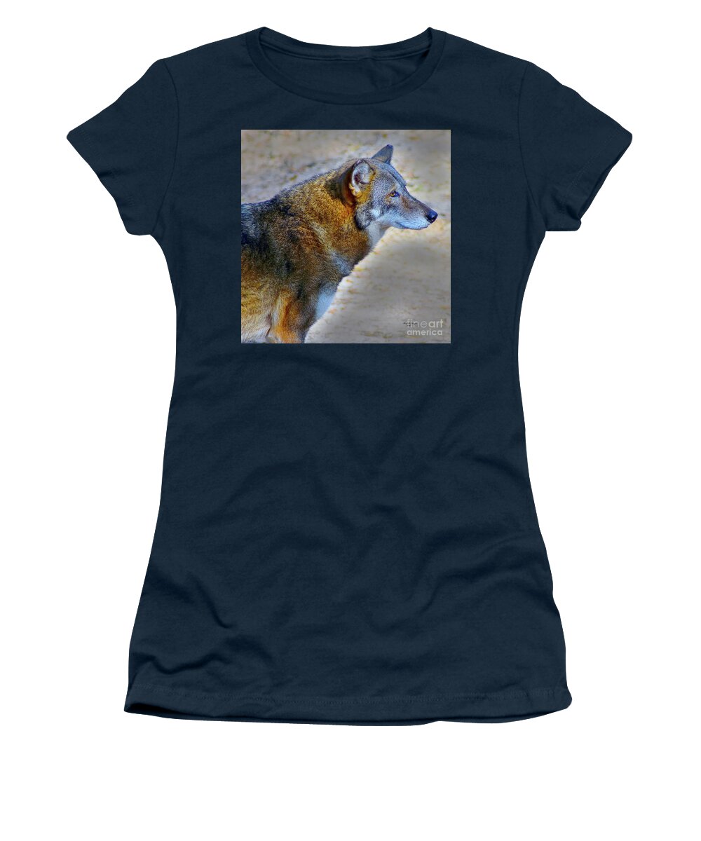 Nature Women's T-Shirt featuring the photograph Red Wolf Standing by DB Hayes