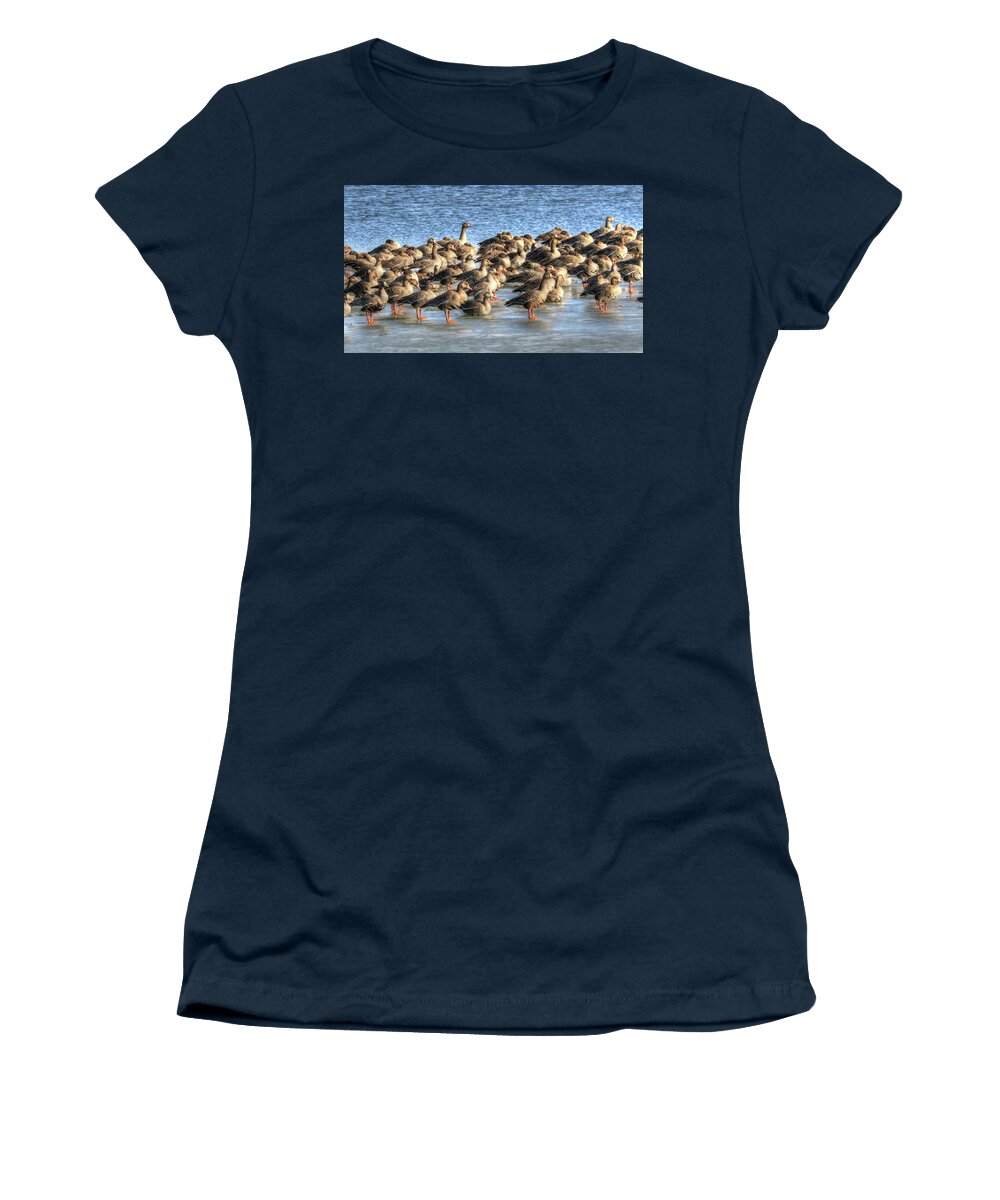 Greater White-fronted Goose Women's T-Shirt featuring the photograph Resting on Iowa Ice by J Laughlin