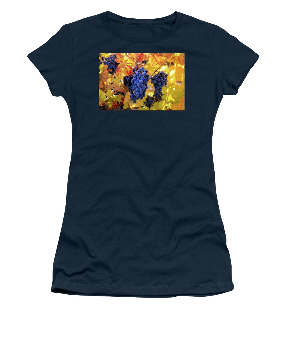Rich Fall Colors With Grapes Women's T-Shirt featuring the photograph Rich fall colors with grapes by Lynn Hopwood