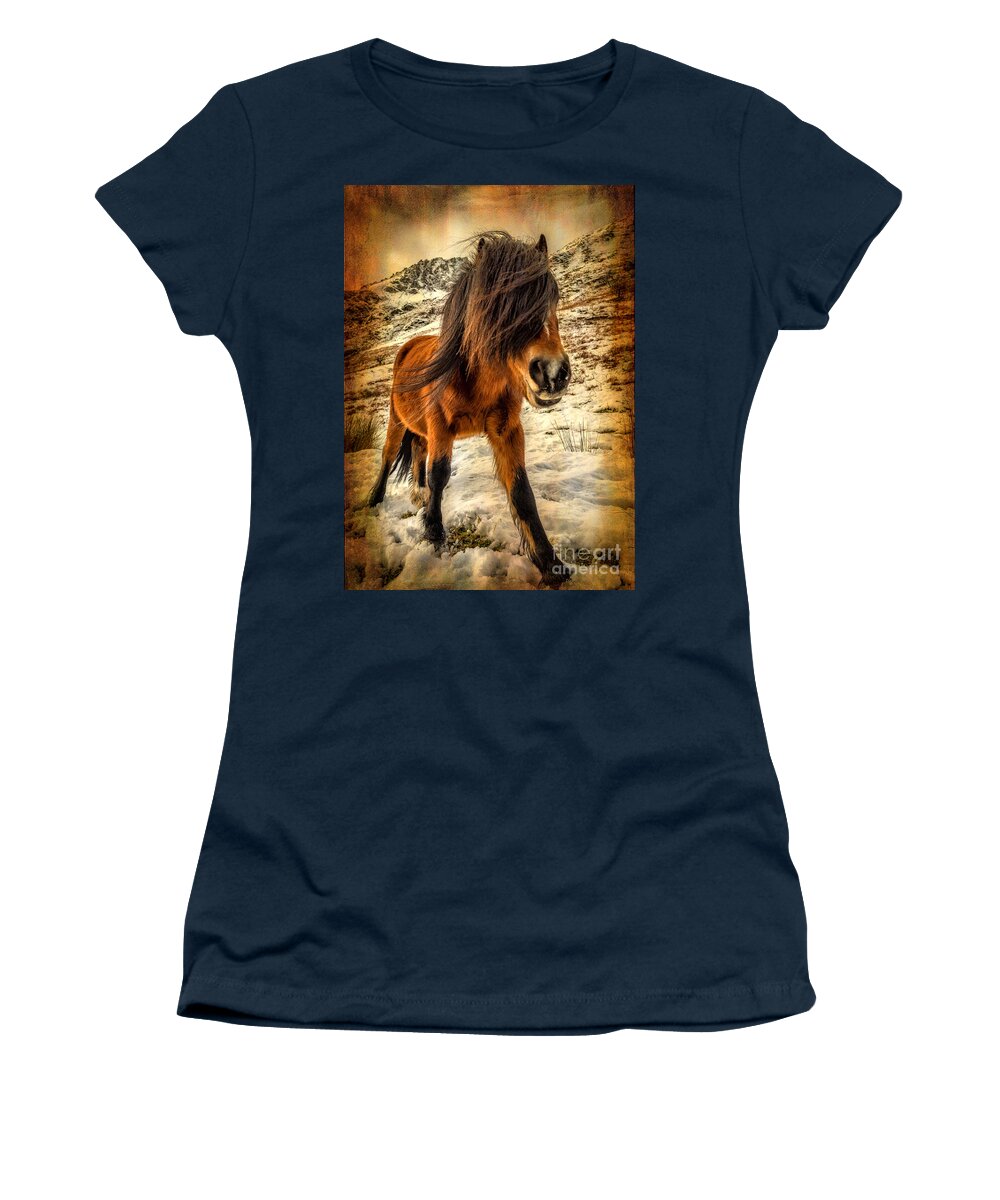 Nant Ffrancon Women's T-Shirt featuring the photograph Roaming Free by Adrian Evans