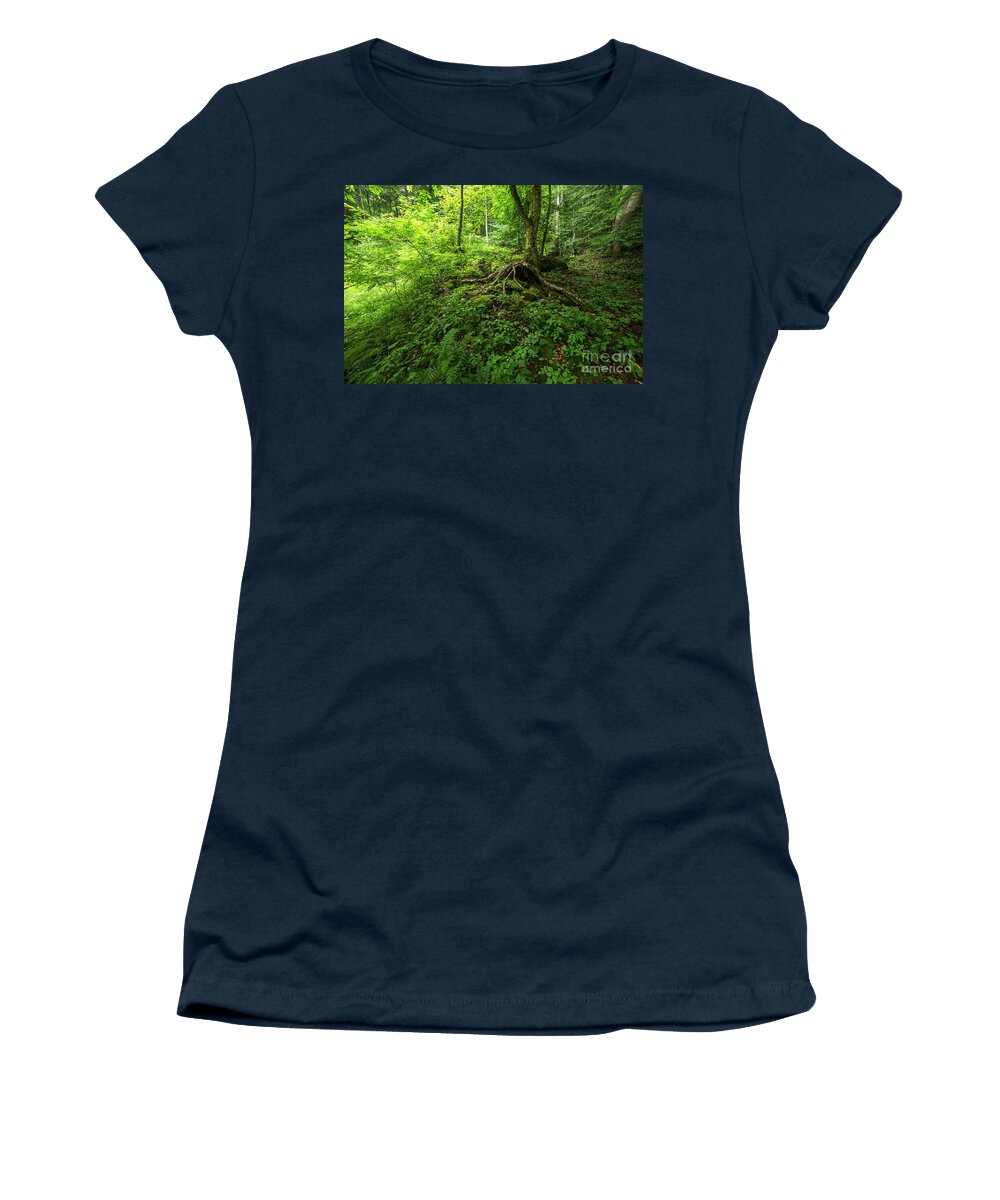 Birch Tree Women's T-Shirt featuring the photograph Roots in West Virginia by Thomas R Fletcher