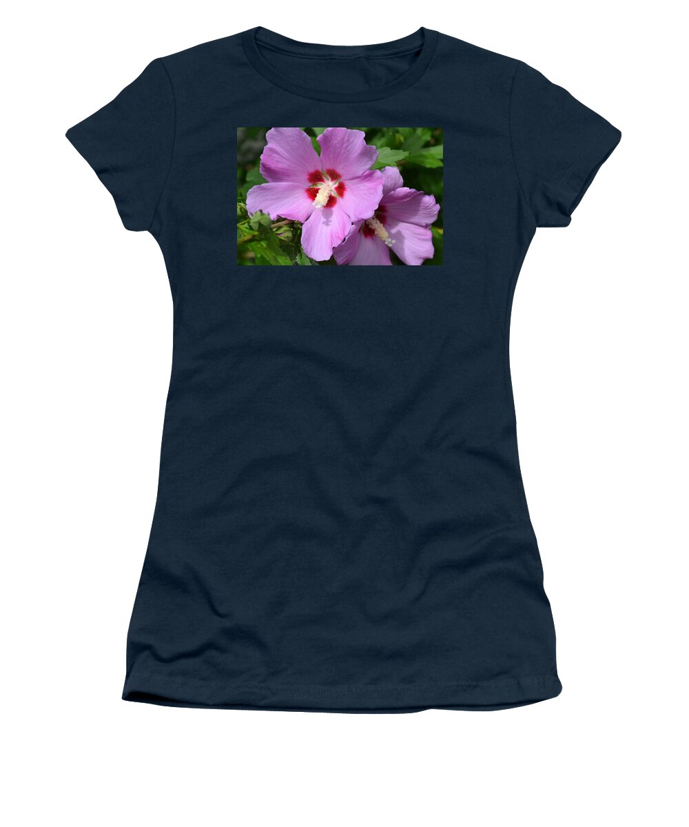 Flowers Women's T-Shirt featuring the photograph Rose of Sharon by Eileen Brymer