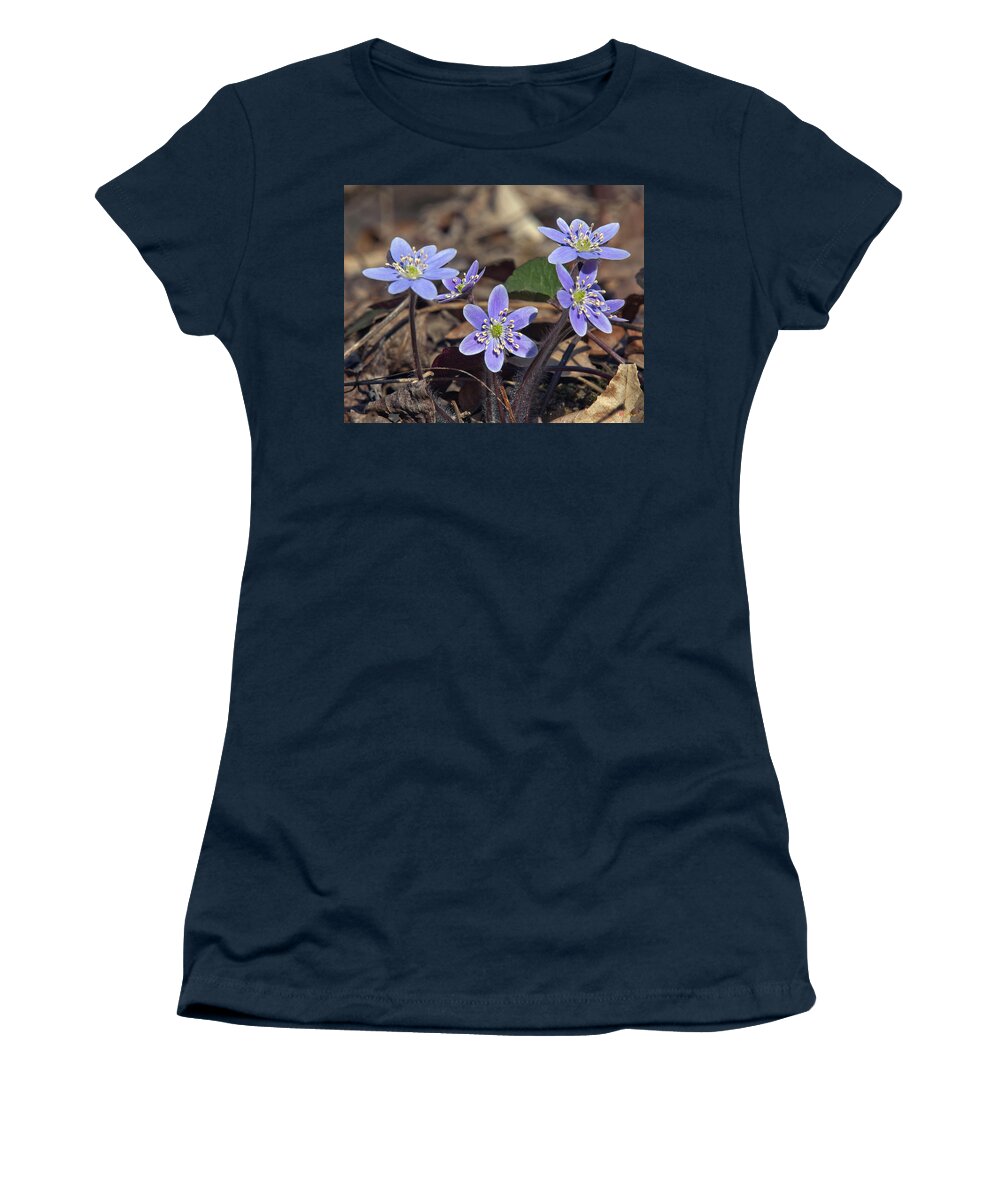 Flower Women's T-Shirt featuring the photograph Round-lobed Hepatica DSPF116 by Gerry Gantt