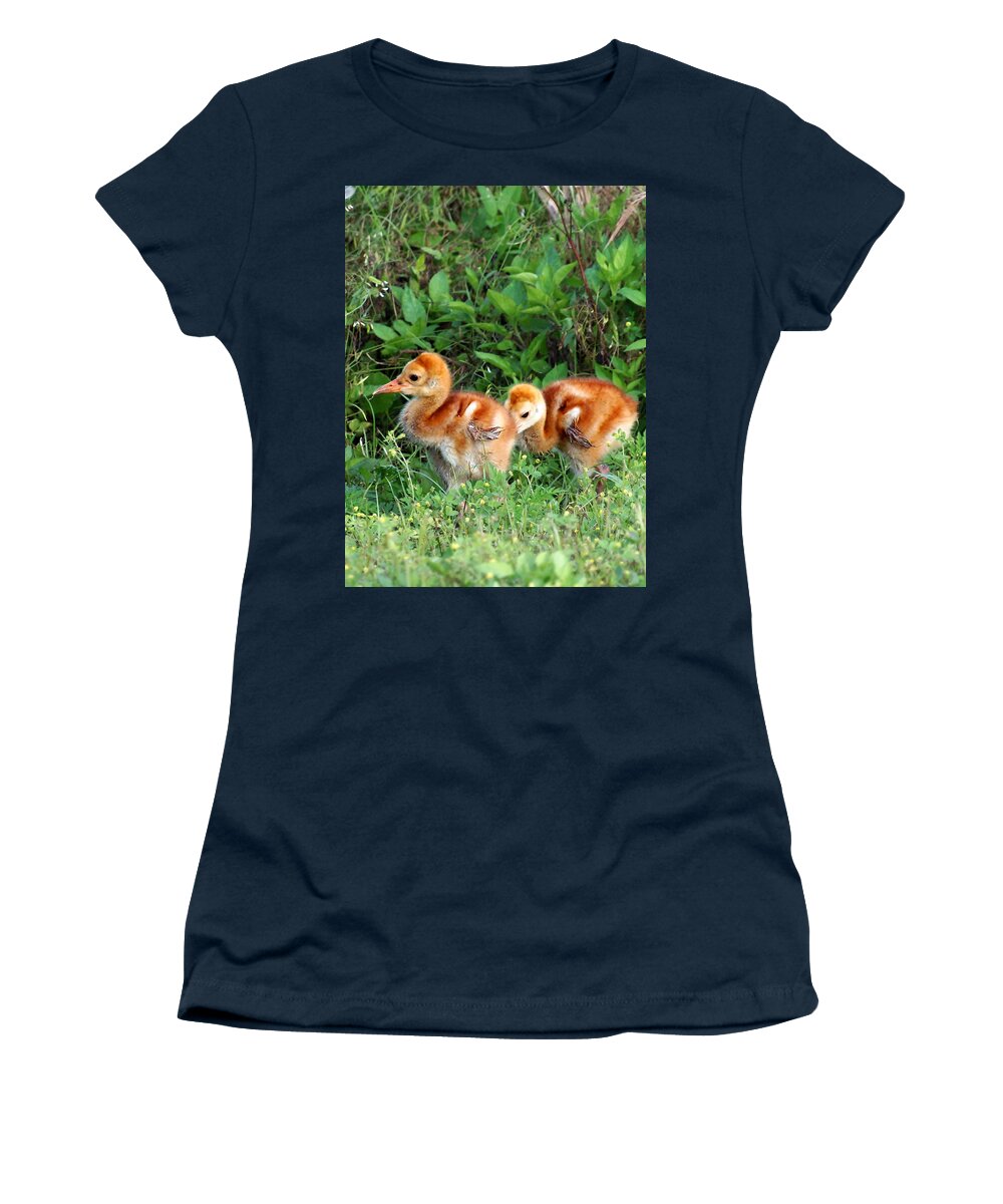 Animals Women's T-Shirt featuring the photograph Sandhill Crane Chicks 002 by Christopher Mercer