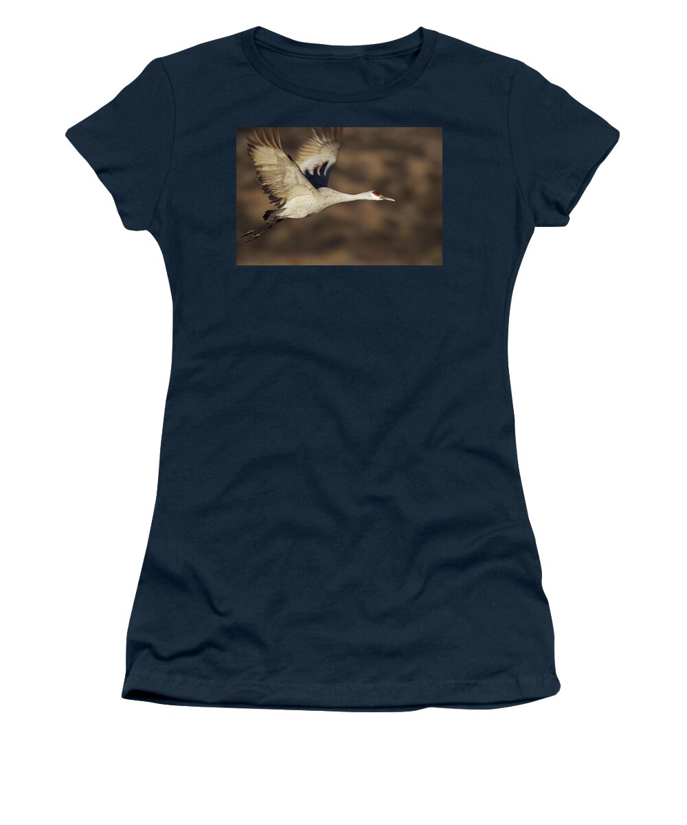 00173818 Women's T-Shirt featuring the photograph Sandhill Crane Flying Bosque Del Apache by Tim Fitzharris