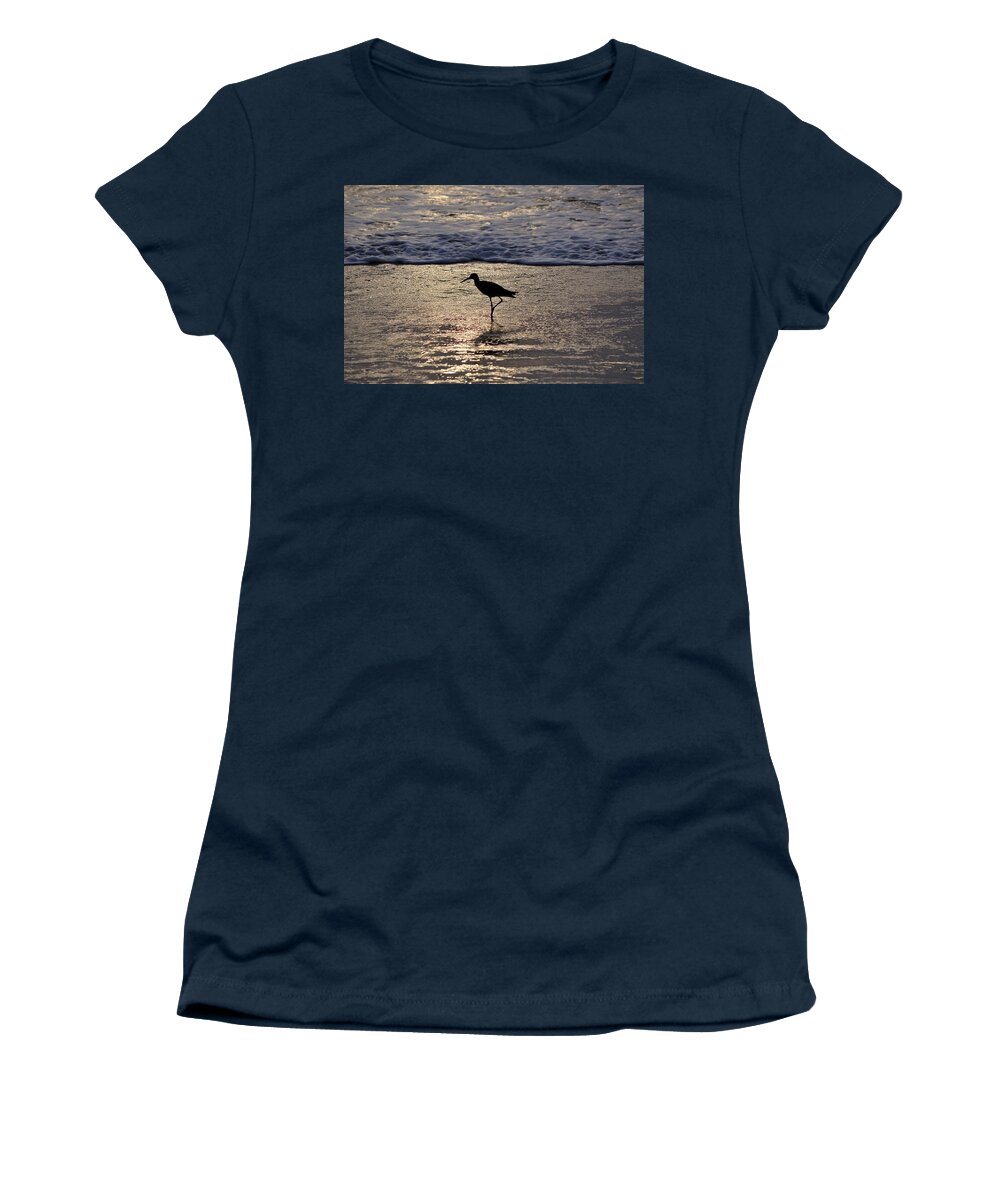 Sandpiper Women's T-Shirt featuring the photograph Sandpiper On A Golden Beach by Kenneth Albin