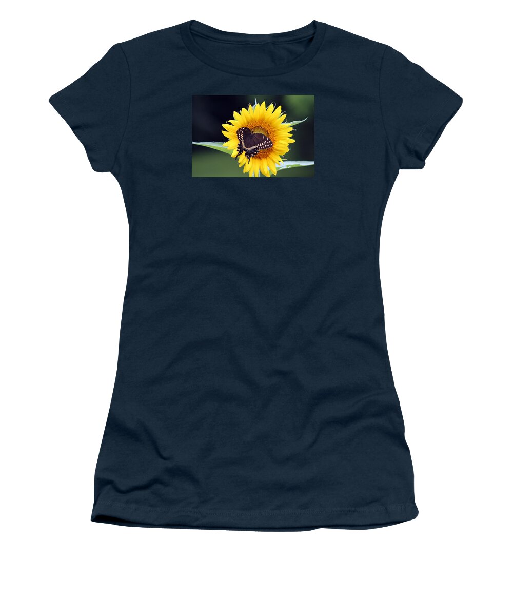 Butterfly Women's T-Shirt featuring the photograph Satisfaction by DB Hayes