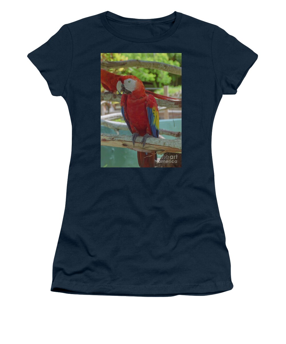 Maccaw Women's T-Shirt featuring the photograph Scarlet Macaw by Judy Hall-Folde