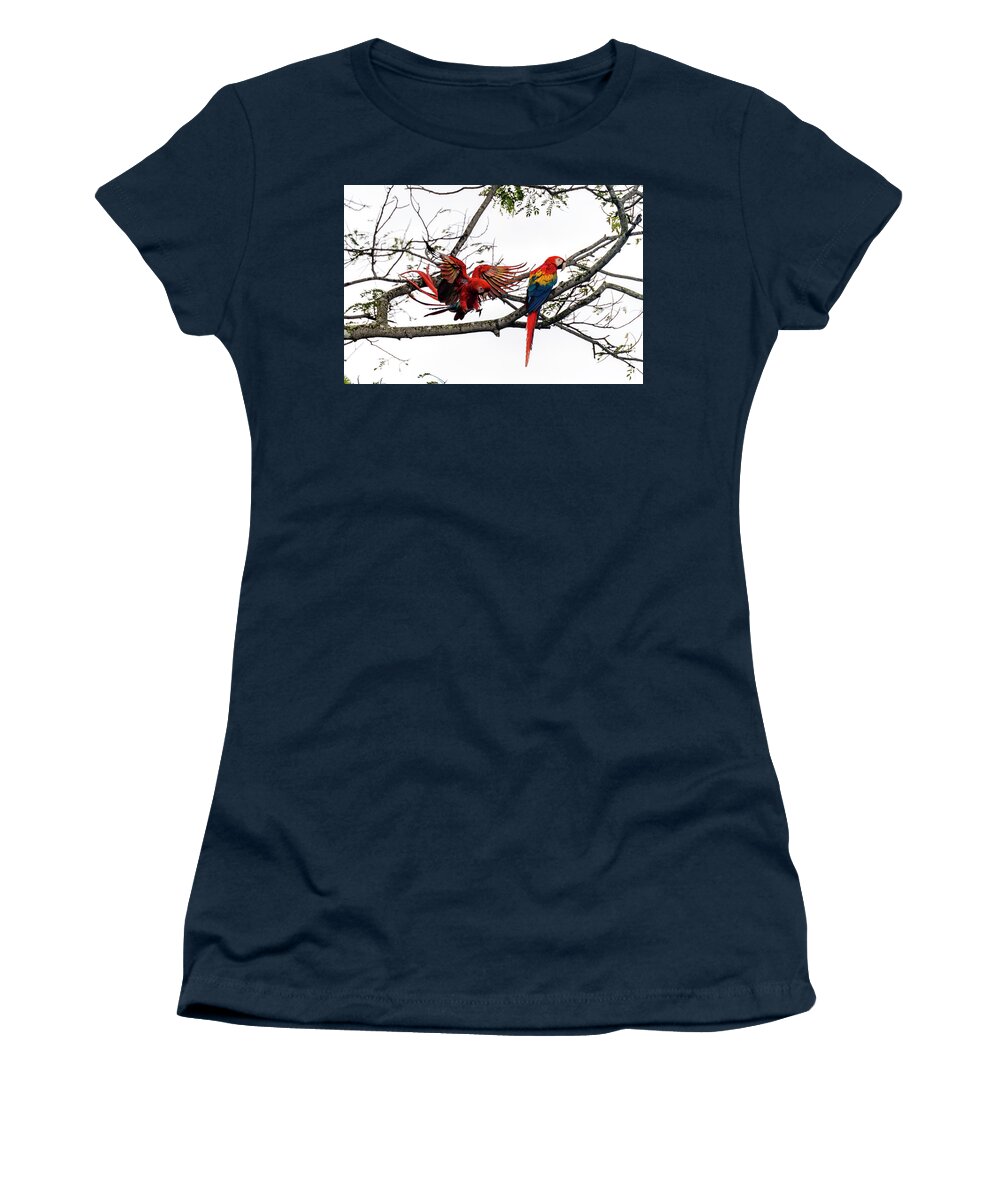 Costa Rica Women's T-Shirt featuring the photograph Scarlet Macaws by Yoshiki Nakamura