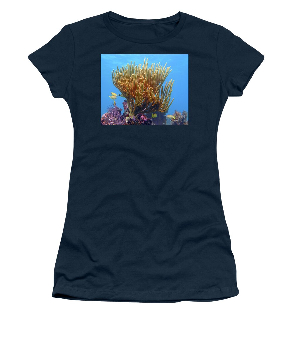 Underwater Women's T-Shirt featuring the photograph Sea Whip by Daryl Duda