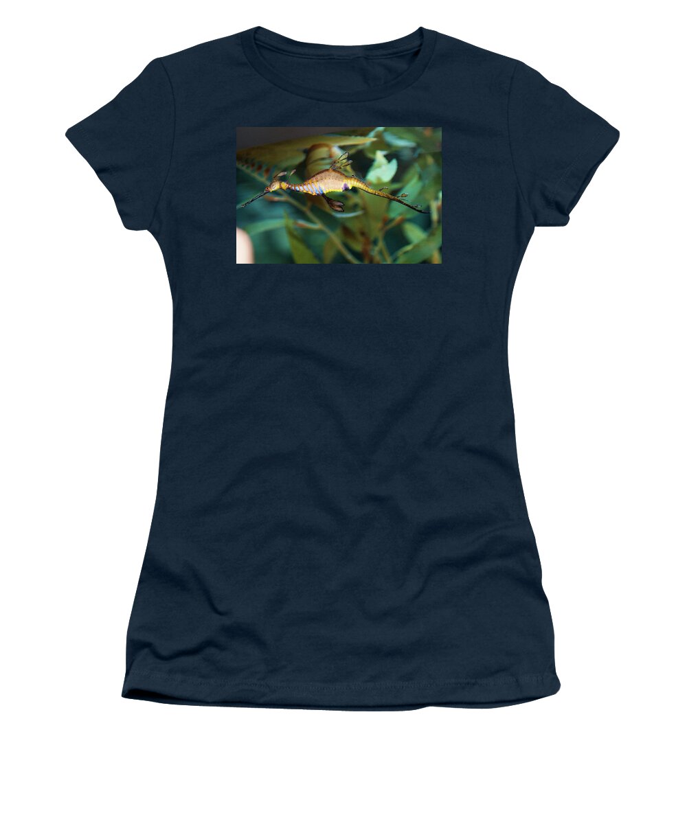 Seahorse Women's T-Shirt featuring the photograph Seahorse by Jason Hughes