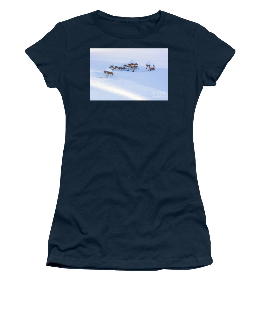 Sedum Women's T-Shirt featuring the photograph Sedum Sprouts in Winter-8197 by Steve Somerville