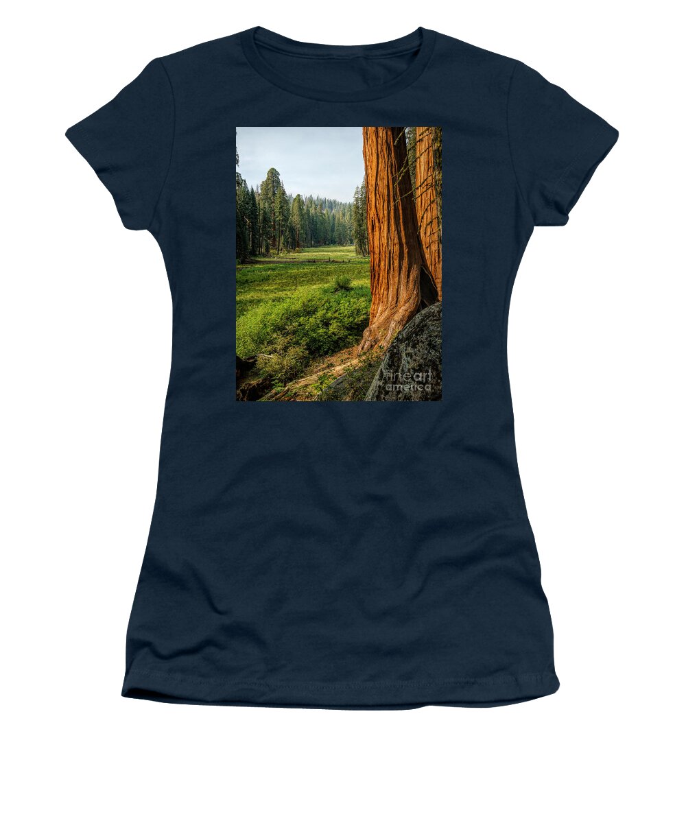 Crescent Meadows Women's T-Shirt featuring the photograph Sequoia NP Crescent Meadows by Daniel Heine