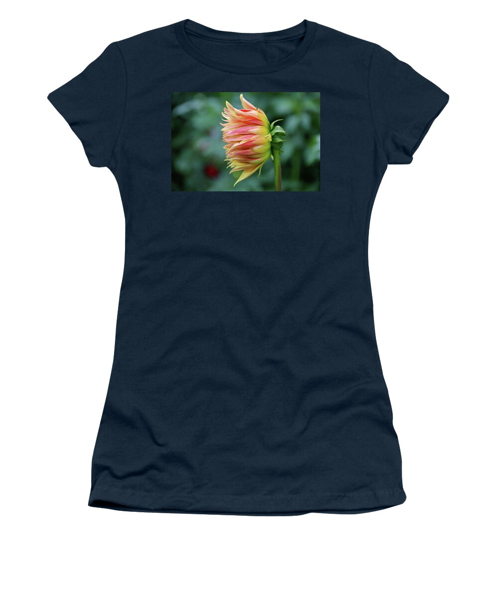 Dahlia Women's T-Shirt featuring the photograph Shut out the Darkness by Michiale Schneider