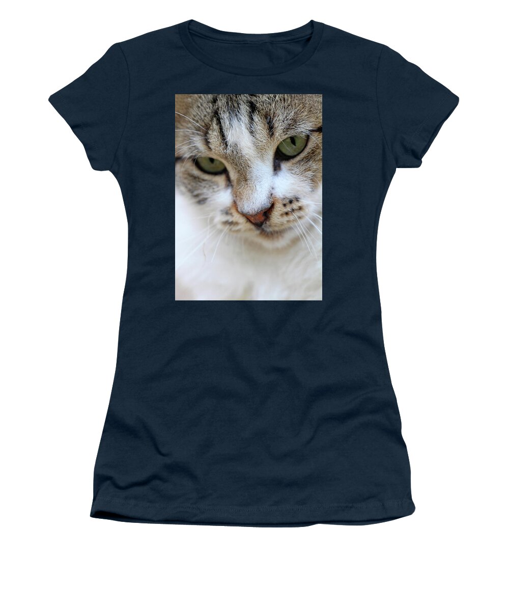 Cat Women's T-Shirt featuring the photograph Shyness by Munir Alawi