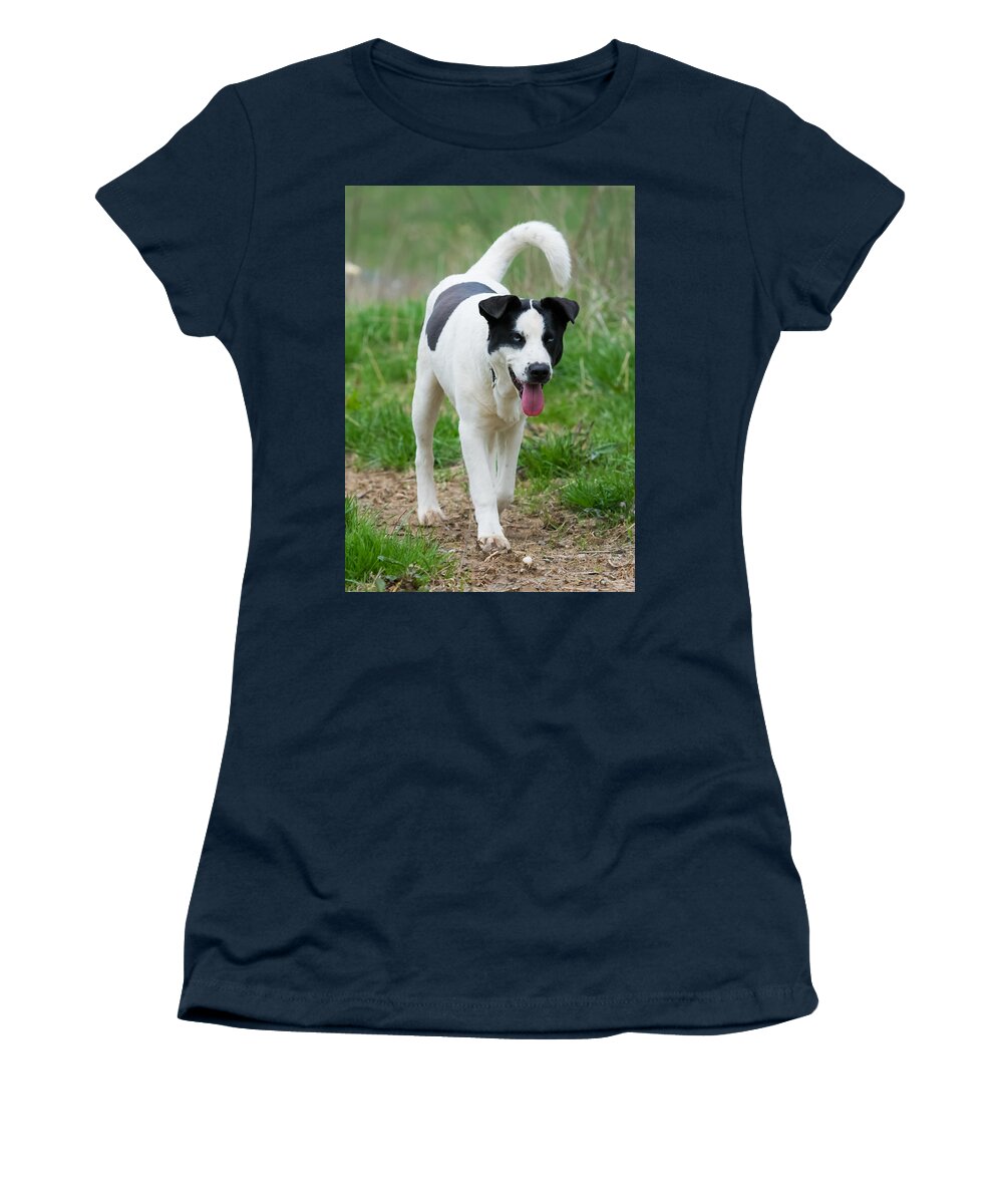 Dog Women's T-Shirt featuring the photograph Silly Dog by Holden The Moment