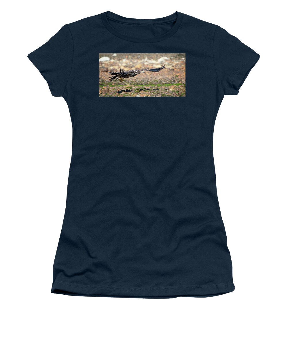 Bald Eagle Women's T-Shirt featuring the photograph Skimming the rocks by Jeanette Mahoney