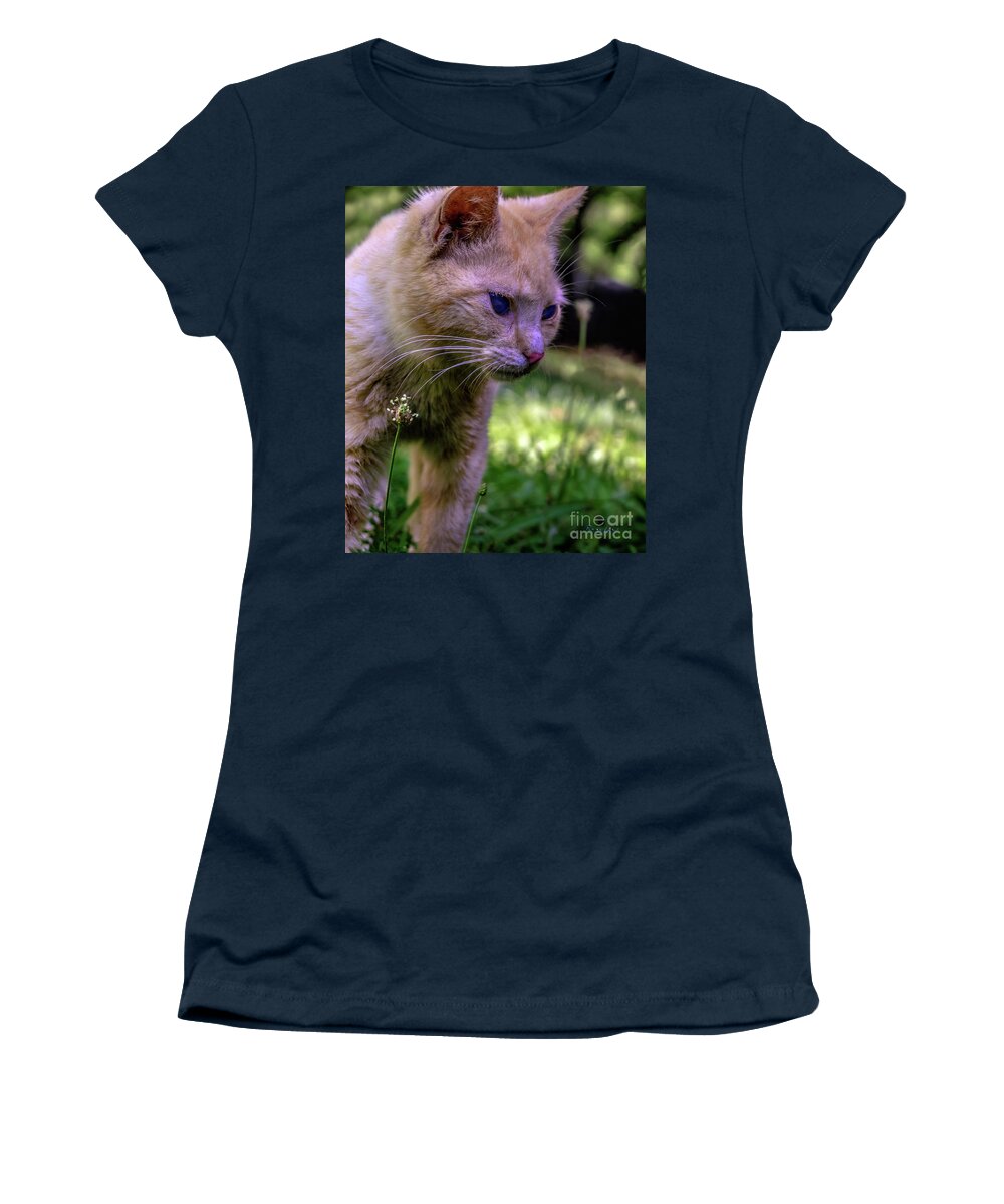 0369b Women's T-Shirt featuring the photograph Skippy Feral Cat Portrait 0369b by Ricardos Creations