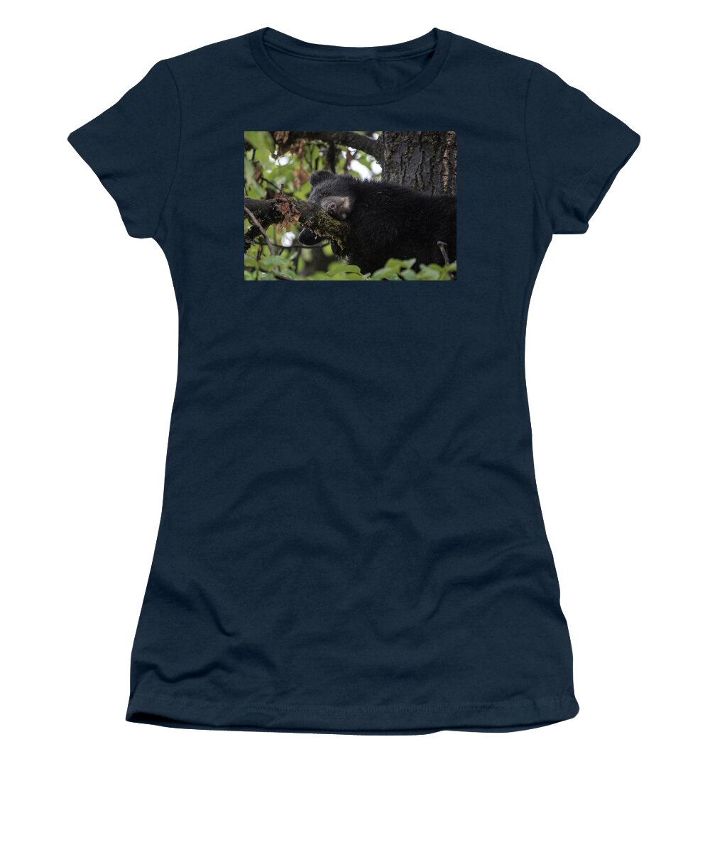Black Bear Women's T-Shirt featuring the photograph Sleepy Cub by David Kirby
