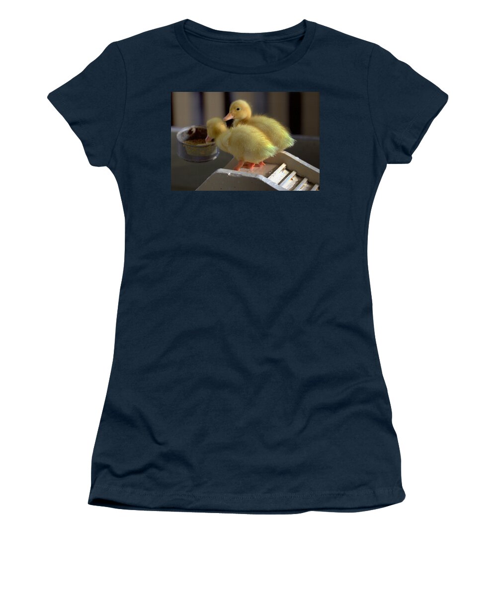 Harrisburg Pa Women's T-Shirt featuring the photograph Slippery Slope by Joseph Skompski