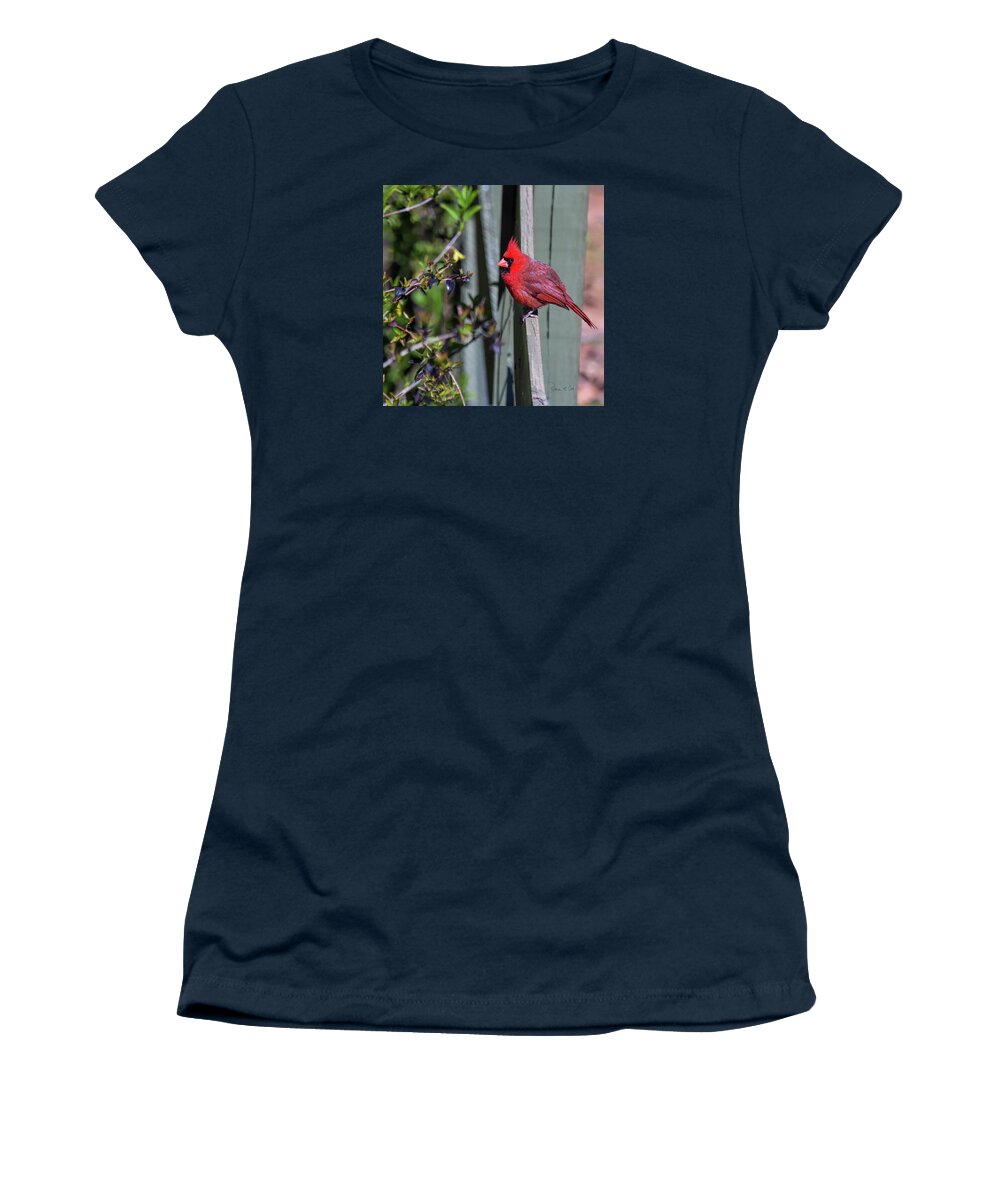 Smiling Cardinal Women's T-Shirt featuring the photograph Smiling Cardinal by Bellesouth Studio