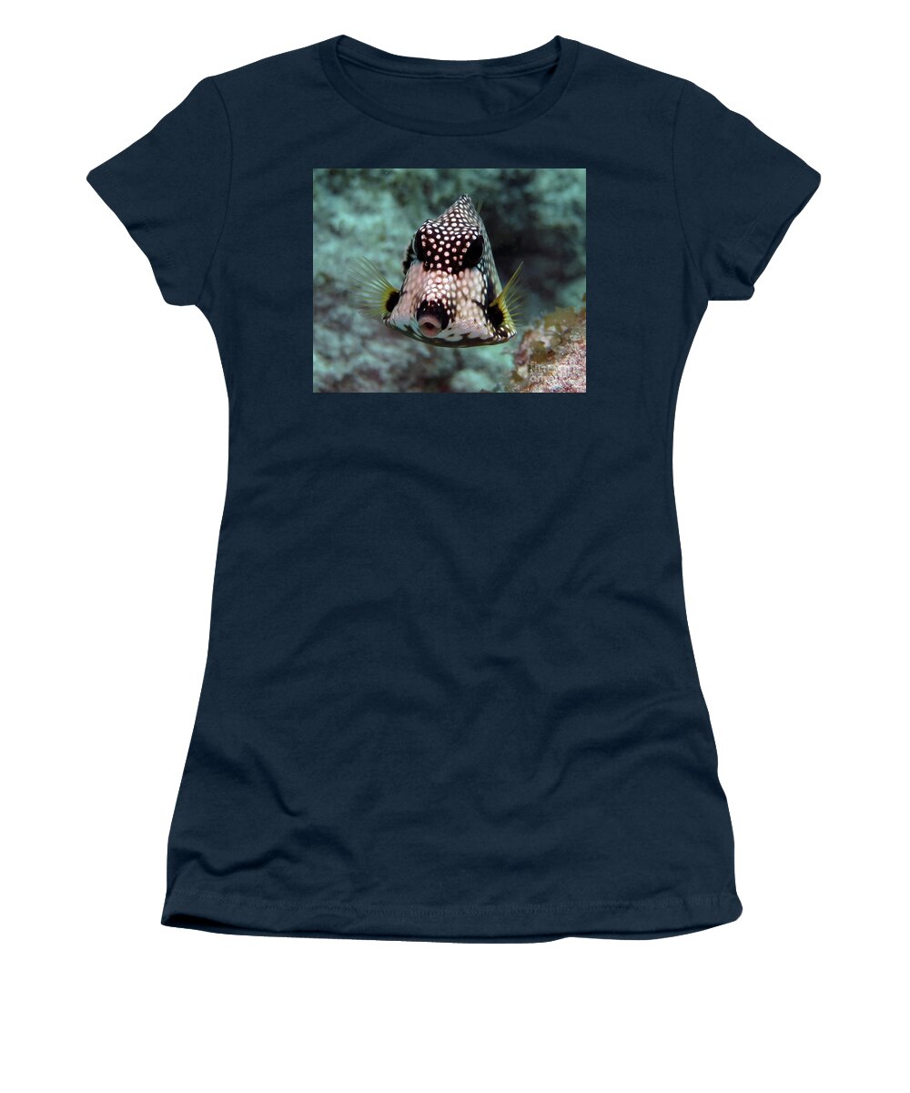 Underwater Women's T-Shirt featuring the photograph Smooth Trunkfish by Daryl Duda