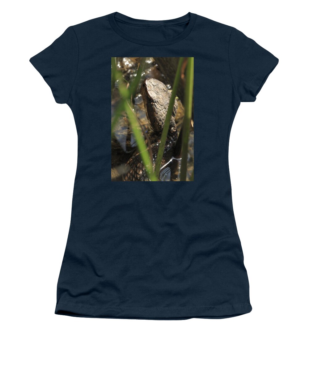 Brown Women's T-Shirt featuring the photograph Snake in the Water by Travis Rogers