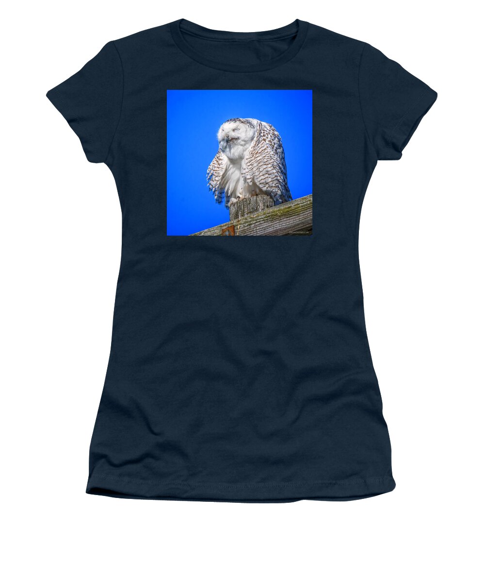 Snowy Owl Women's T-Shirt featuring the photograph Sneeze Snowy Owl by LeeAnn McLaneGoetz McLaneGoetzStudioLLCcom