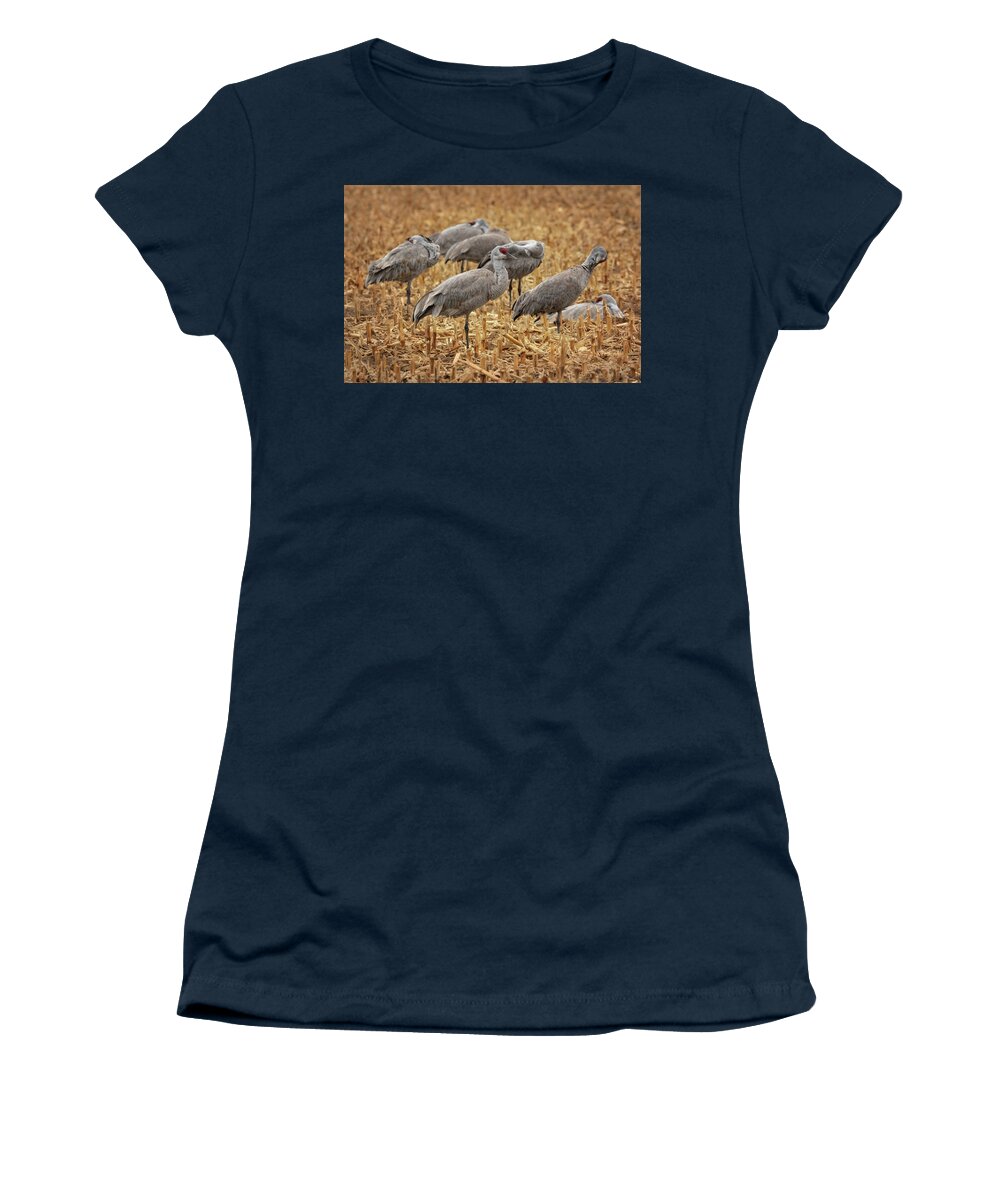 Sandhill Cranes Women's T-Shirt featuring the photograph Snooze Fest by Susan Rissi Tregoning