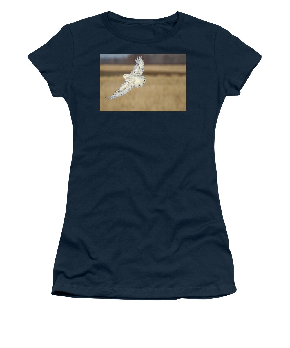 Snowy Owl Women's T-Shirt featuring the photograph Snow Owl Flight 2 by Brook Burling