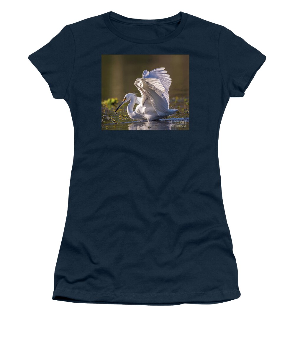 Nature Women's T-Shirt featuring the photograph Snowy Egret Hunting - Egretta Thula by DB Hayes