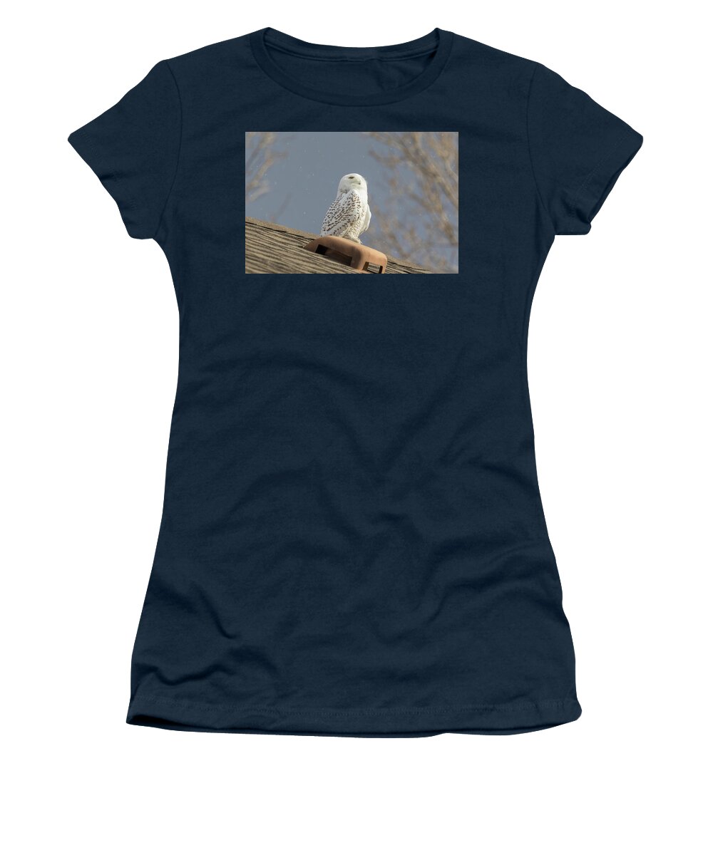 Owl Women's T-Shirt featuring the photograph Snowy Owl Enjoys The Snowflakes by Tony Hake