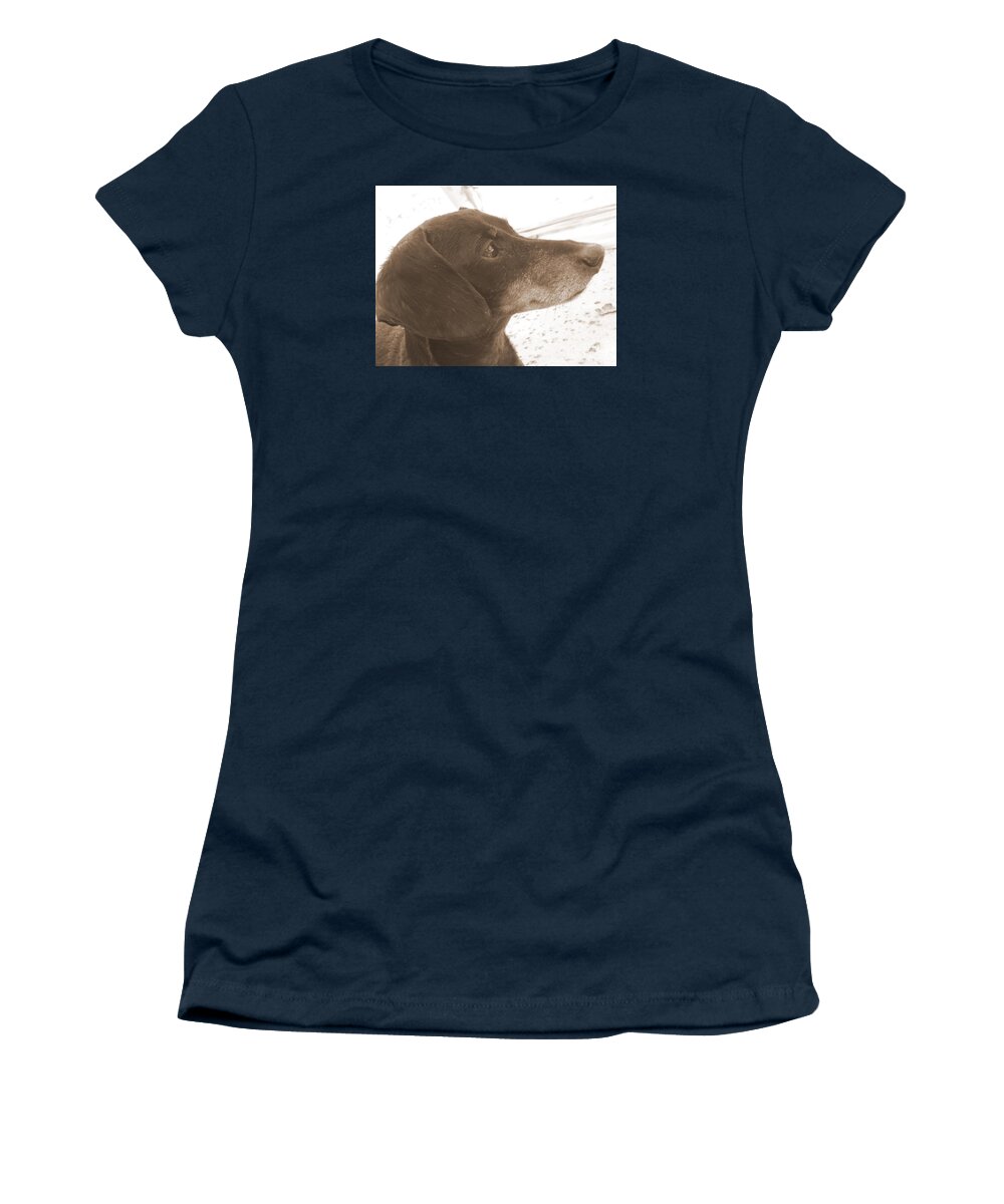 Dachshund Women's T-Shirt featuring the photograph Sonny Days by the Pool by Leah McPhail