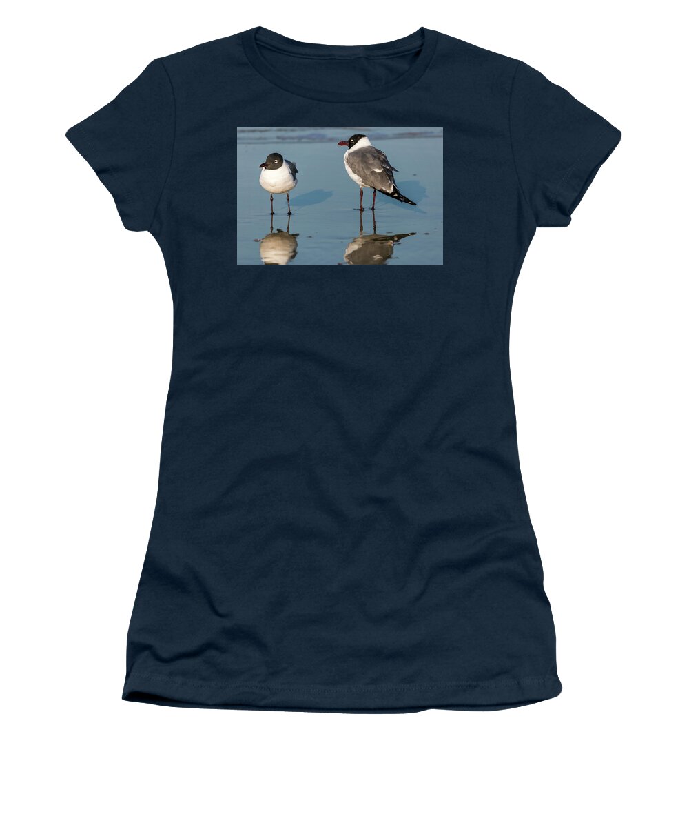 Birds Women's T-Shirt featuring the photograph Laughing Gulls by Ray Silva