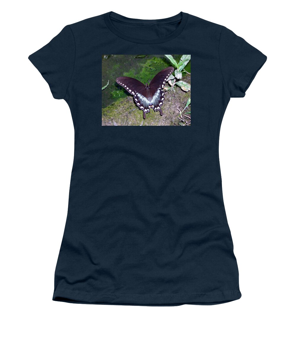 Butterfly Women's T-Shirt featuring the photograph Spicebush Swallowtail Butterfly by George Jones