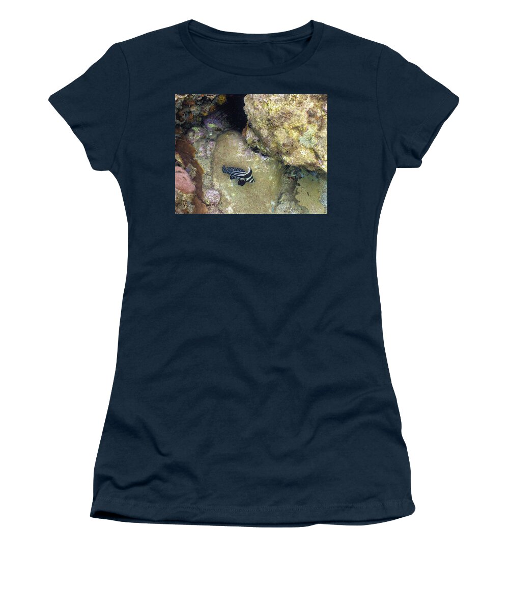 Ocean Women's T-Shirt featuring the photograph Spots and Stripes by Lynne Browne