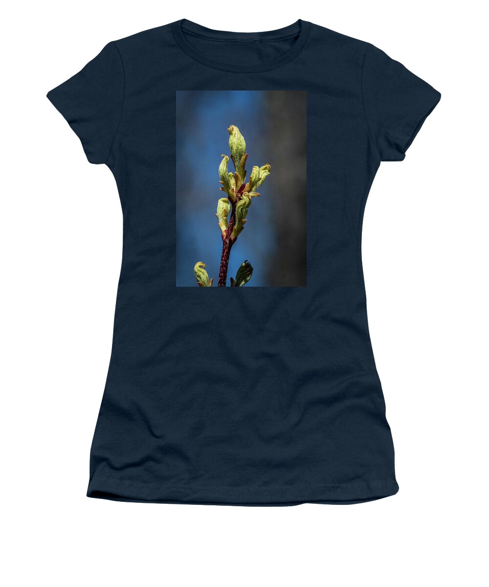 Bud Women's T-Shirt featuring the photograph Spring Buds by Paul Freidlund