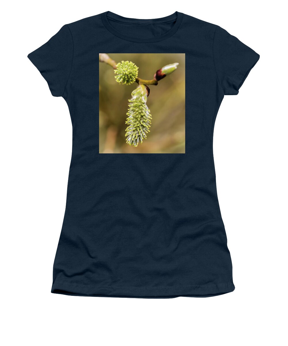 Spring Women's T-Shirt featuring the photograph Spring Catkins by Nick Bywater