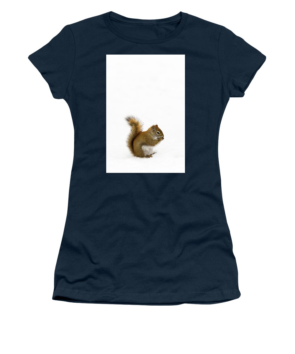 Squirrel Women's T-Shirt featuring the photograph Squirrel by Nebojsa Novakovic